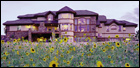 Purple House