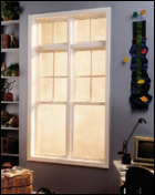 Single Hung Window