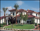 Beautiful Home with Palm Trees