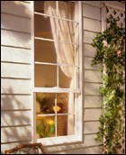 Single Hung Window