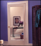 Impression Mirrored Door (DoorCraft)