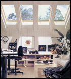 Fixed Skylights (Velux)